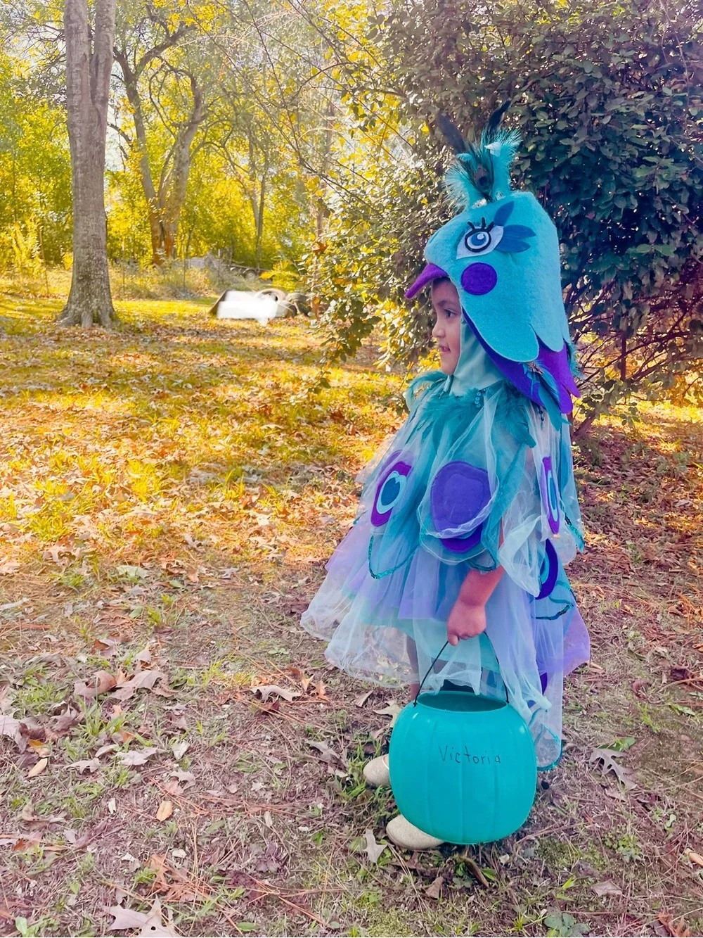 Pottery Barn Kids adorable peacock
